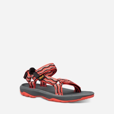 Teva Kids Hurricane XLT 2 Hiking Sandals Sale NZ (HZDRE-7132)